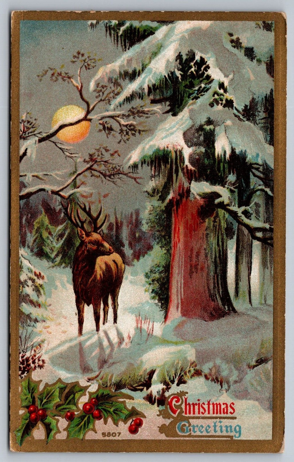 Christmas Greetings w/ Deer in the Moonlit Woods-c1910 Antique Postcard