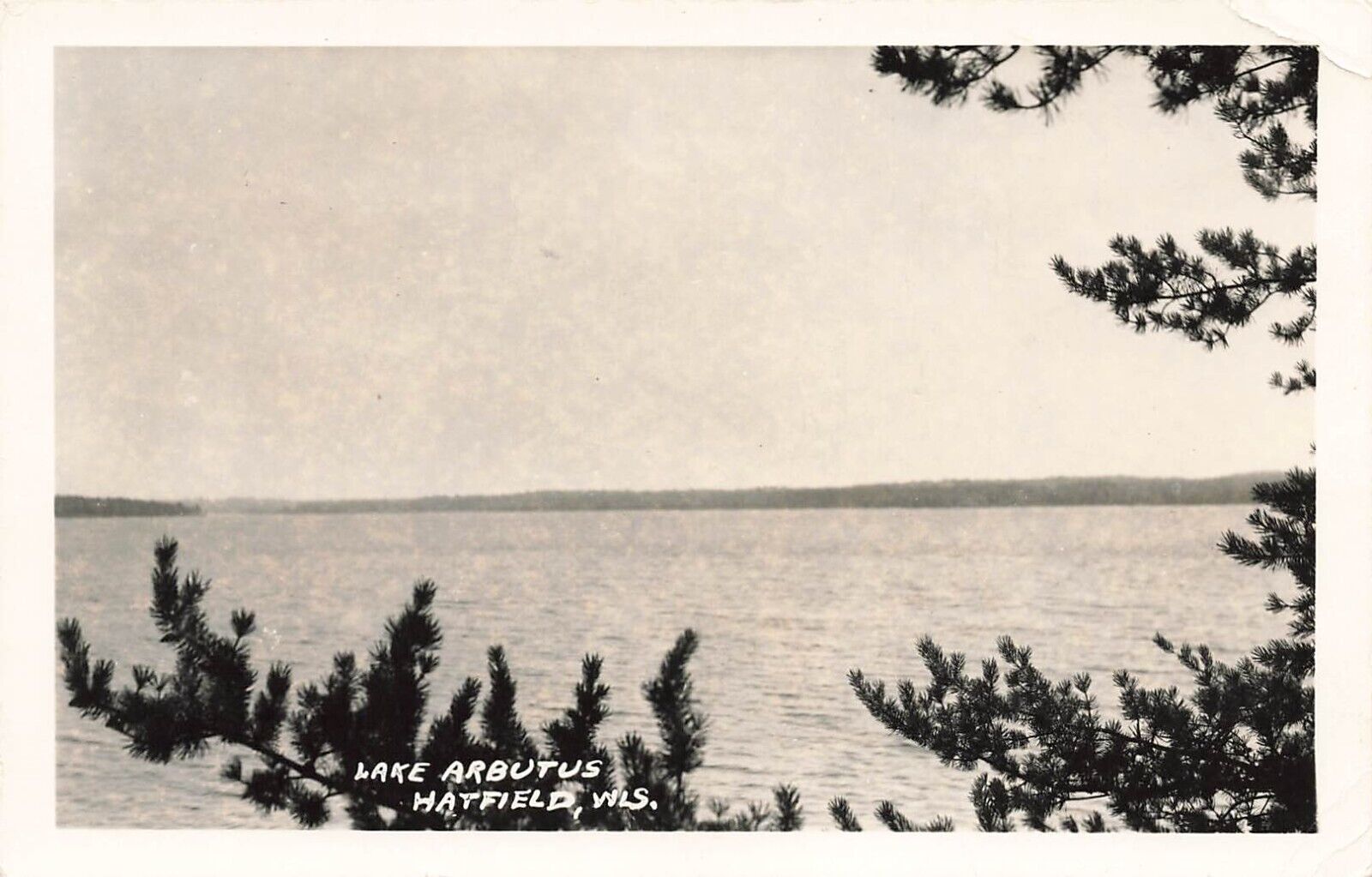 Hatfield Lake Arbutus Wisconsin RPPC Vintage    Postcard LP05