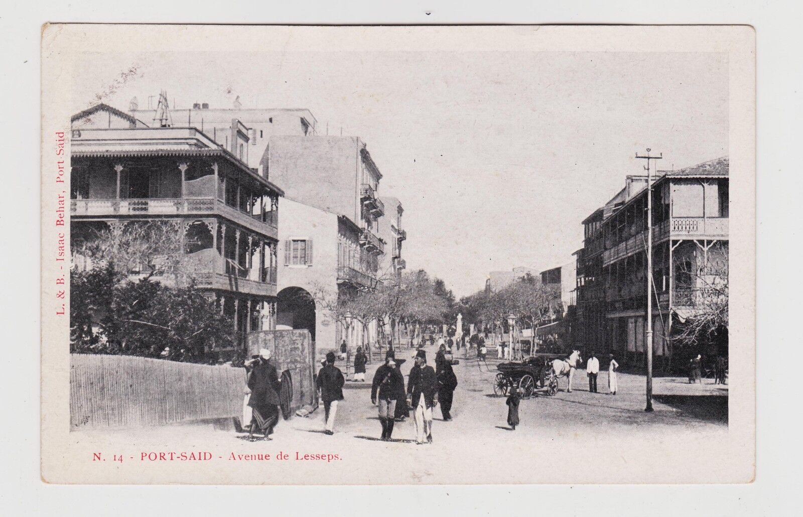 Port Said,Egypt,North Africa,Avenue de Lesseps,Horse Drawn Wagon,c.1901-06
