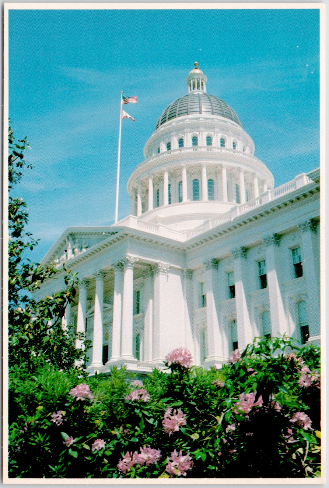 Sacramento California State Capitol Building Flowers Front View Vintage Postcard