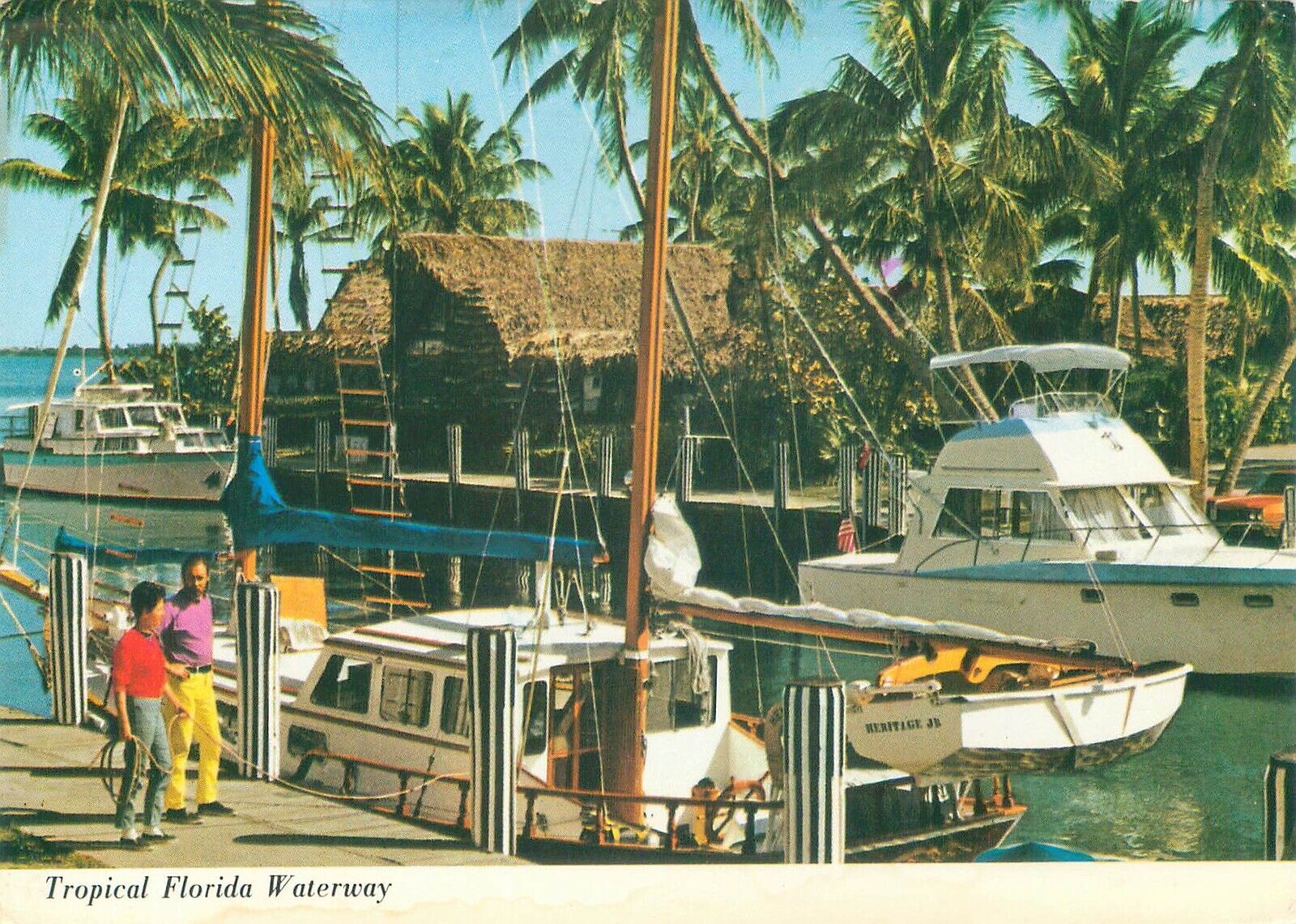 Vintage Postcard: Typical Florida Waterway