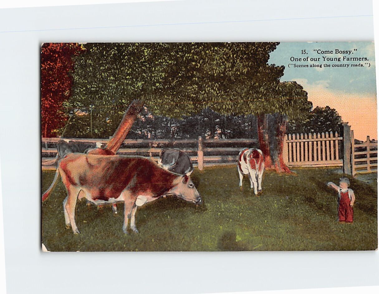 Postcard Come Bossy Young Farmer Farm Scene
