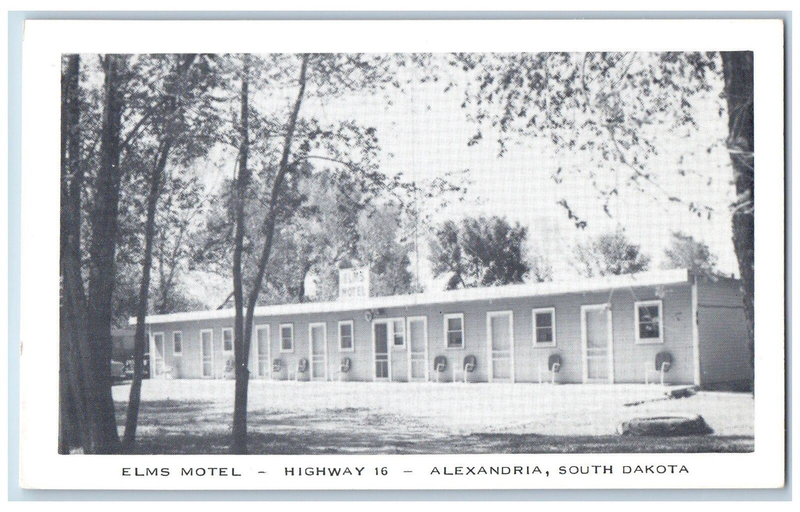 c1920's Alexandria South Dakota Elms Motel & Restaurant Trees Cottages Postcard