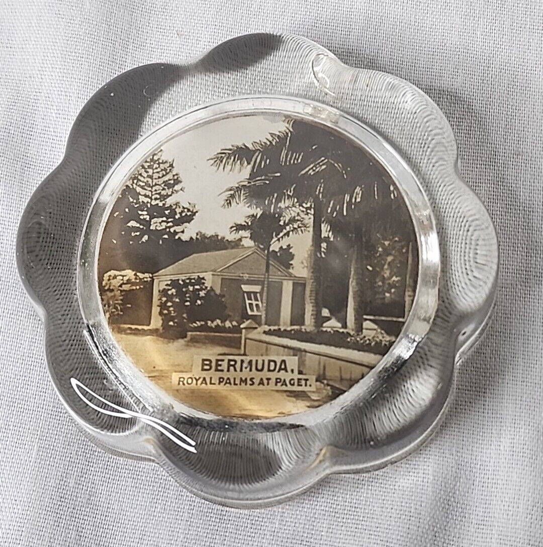 Bermuda Royal Palms at Paget Glass coaster paper weight Souvenir