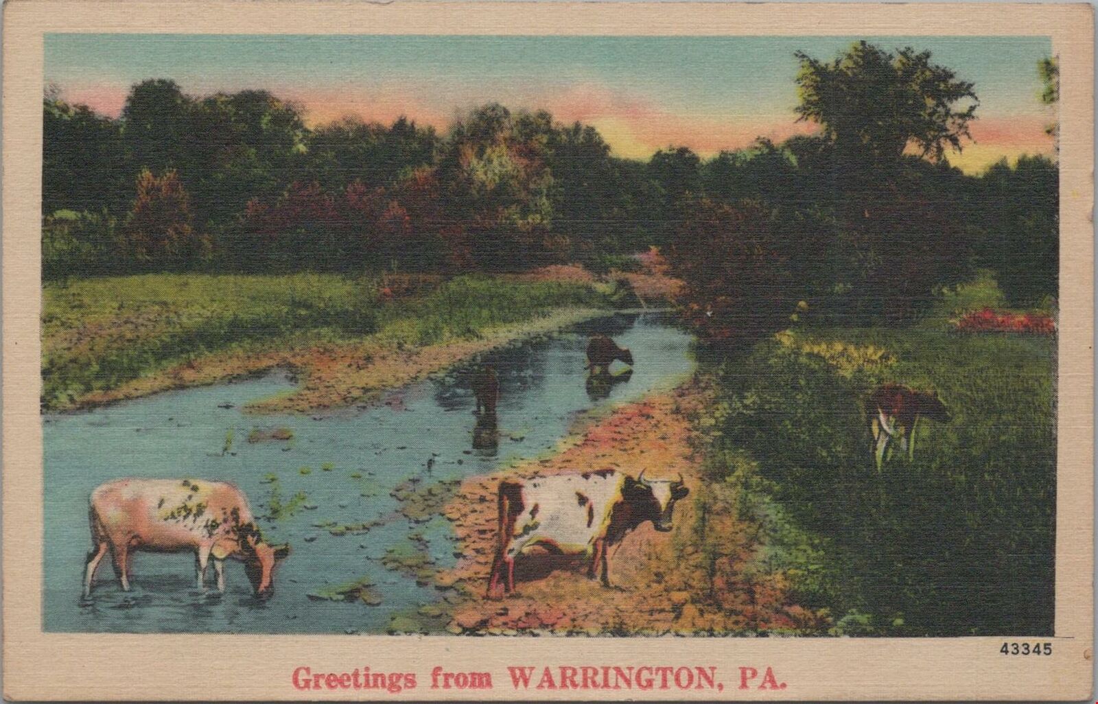 Postcard Greetings from Warrington PA 1943