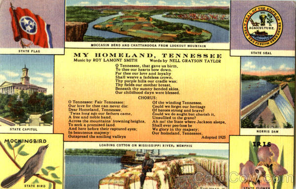 Tennessee My Homeland Bluff City News Co. Linen Postcard Vintage Post Card