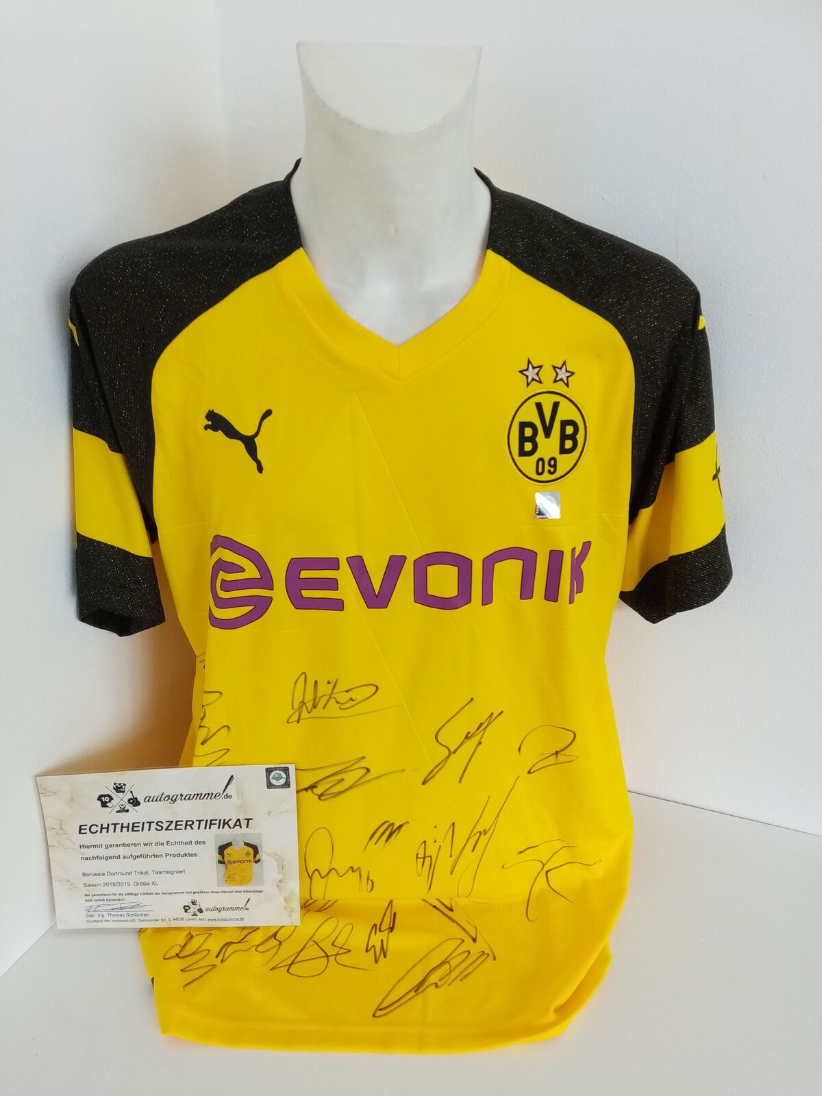 Bvb Jersey 18/19 Teamsigniert Borussia Dortmund Autograph Signature Puma XL