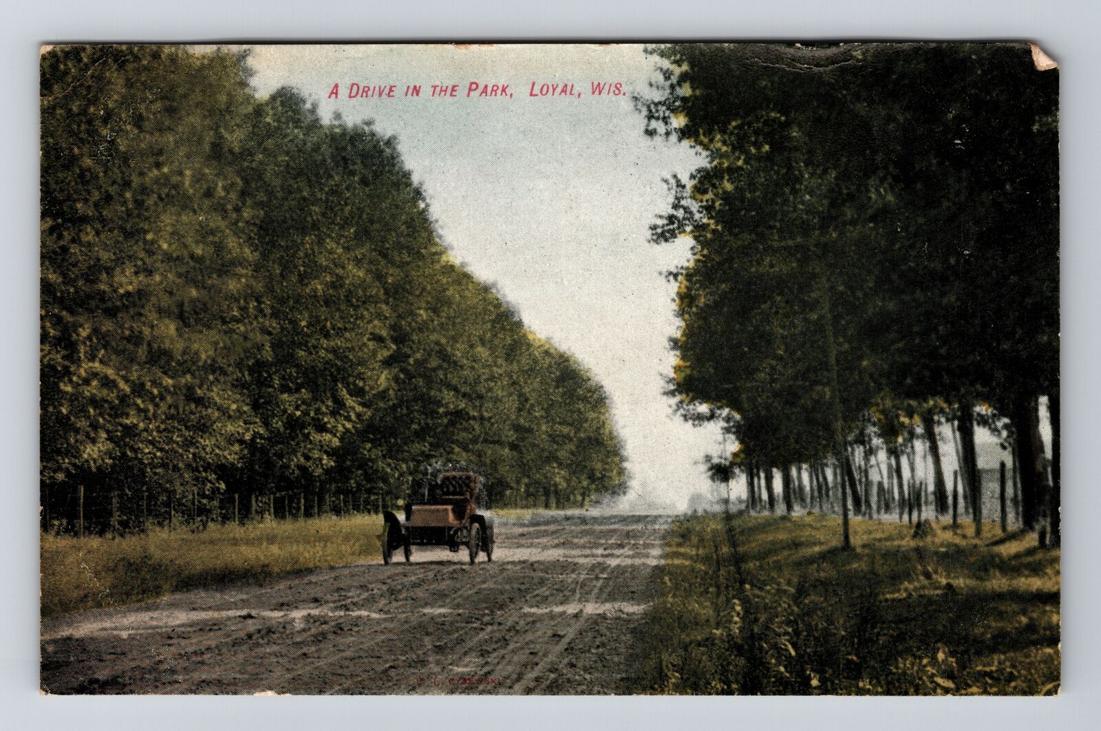 Loyal WI-Wisconsin, A Drive in the Park, Vintage Postcard
