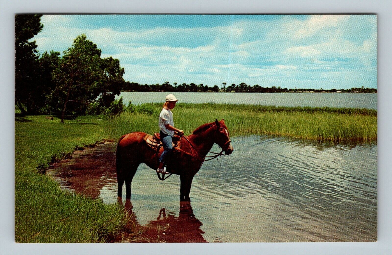Sebring FL, Horseback Riding At Lake Jackson, Florida Vintage Postcard