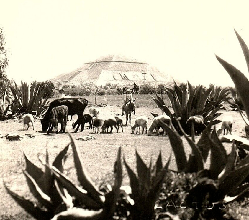 1930s TEOTIHUACAN AZTEC PYRAMID OF THE SUN MEXICO KODAK RPPC POSTCARD P1294