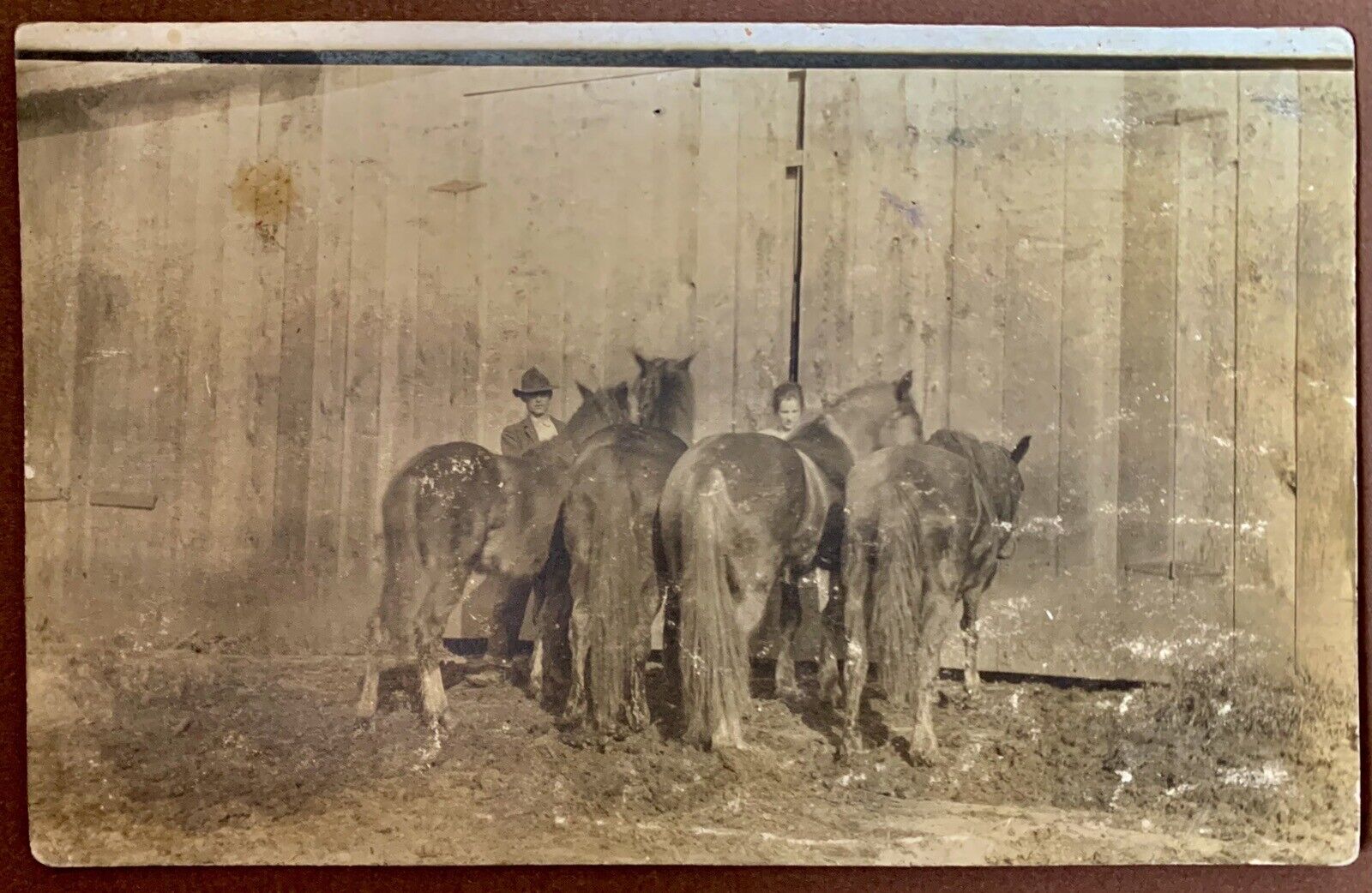RPPC 4 Democrat Horses Asses Postcard Antique Early 1900’s