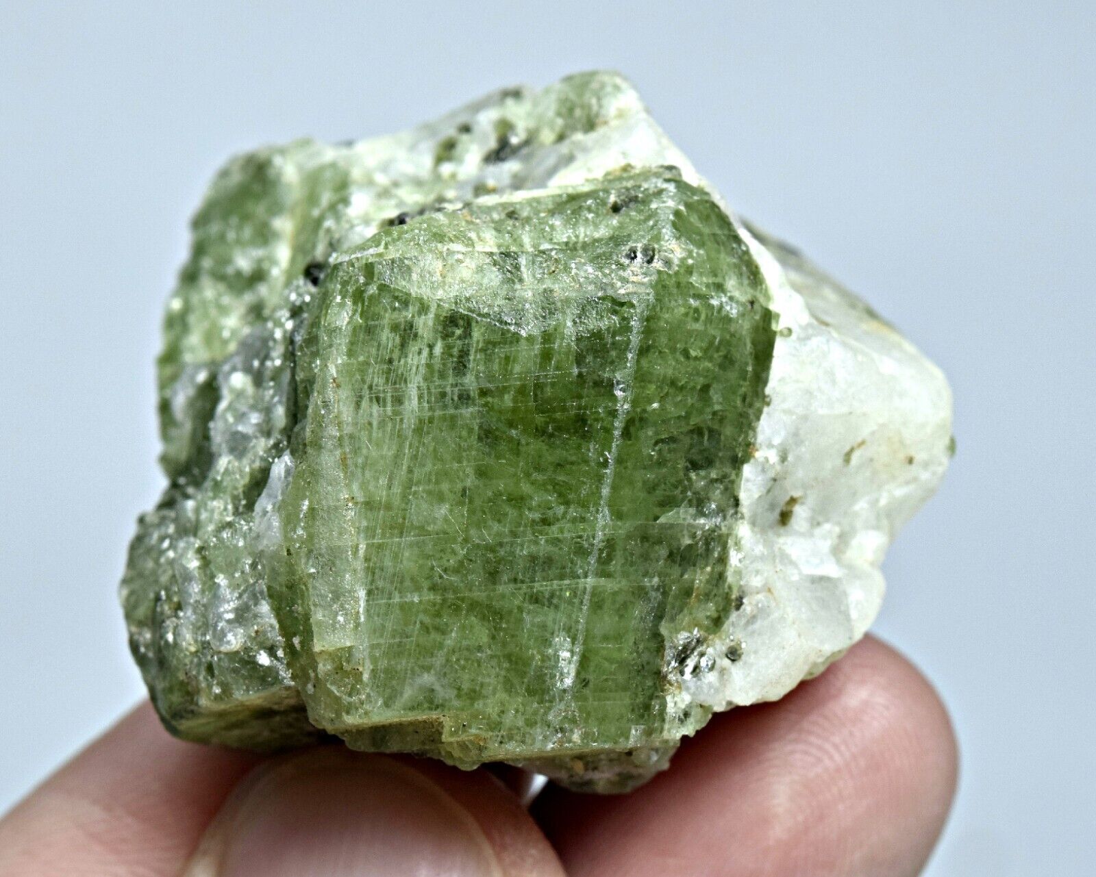 Well Terminated Green Diopside Crystal on Matrix @Badakhshan, 210 CT