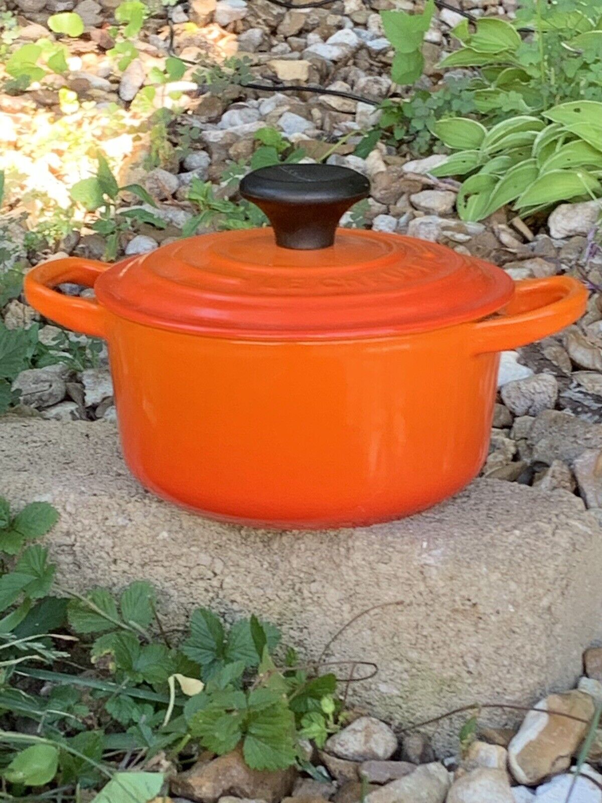 Le Creuset Flame Orange Cast Iron Enamel Small Dutch Oven 6”
