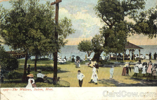 Salem,MA The Willows Essex County Massachusetts Antique Postcard Vintage