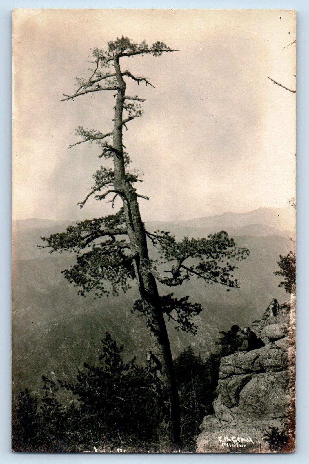 c1910's View Of Lone Pine Mt. Wilson California CA Antique RPPC Photo Postcard