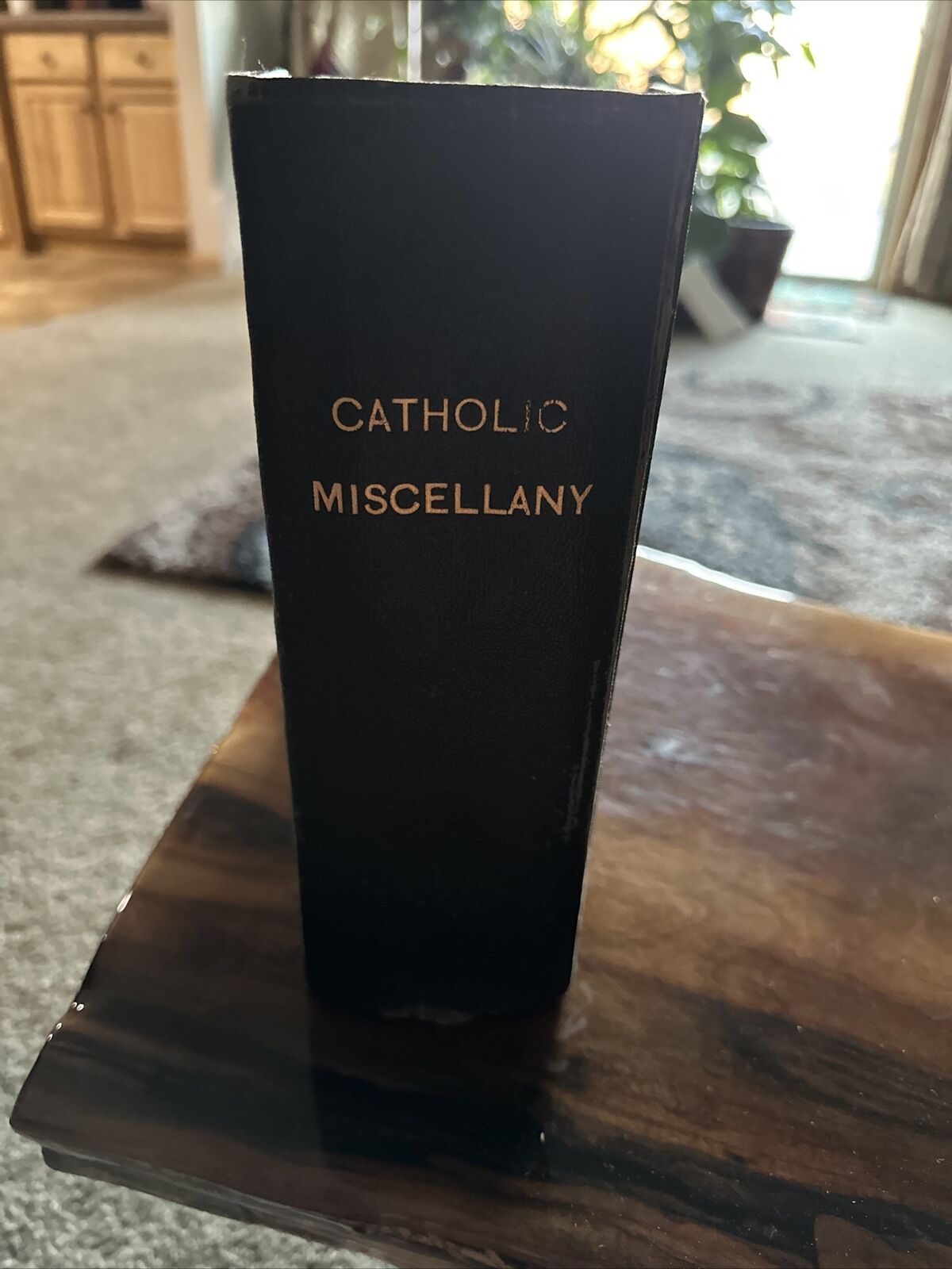 Antique Book 1895 Catholic Miscellany 251 Pages