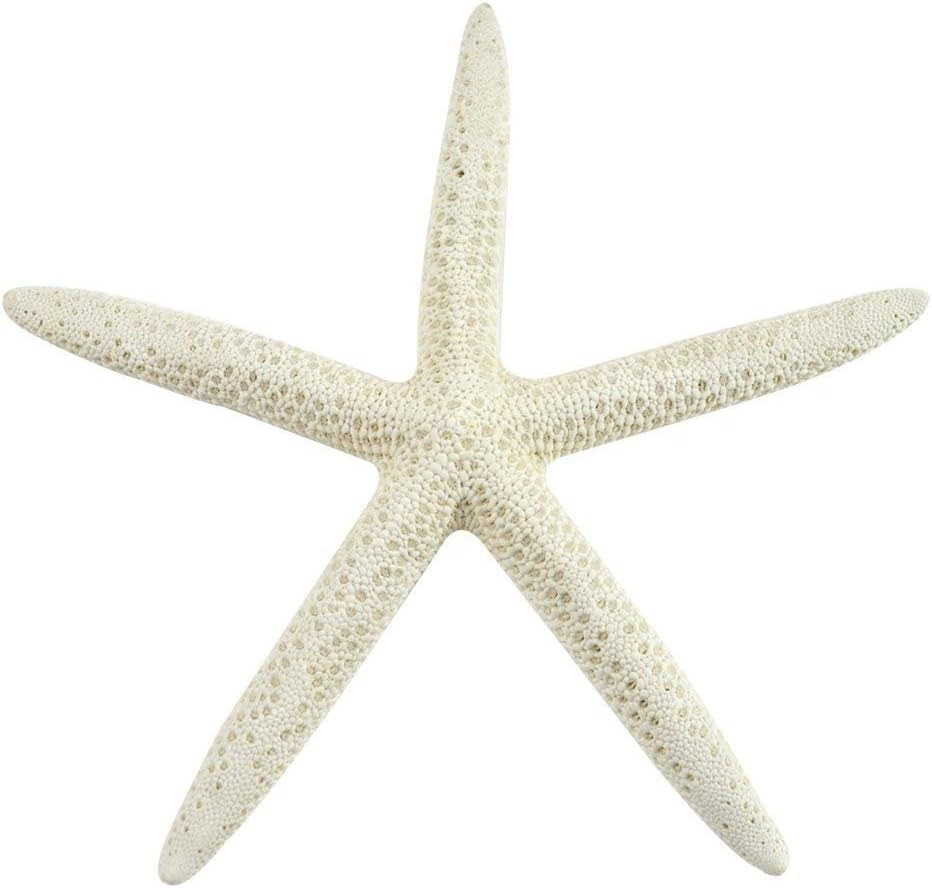 Real Starfish Decor - 10 Pack Assorted Real Finger Star Fish 2-4 Inch - Starfish