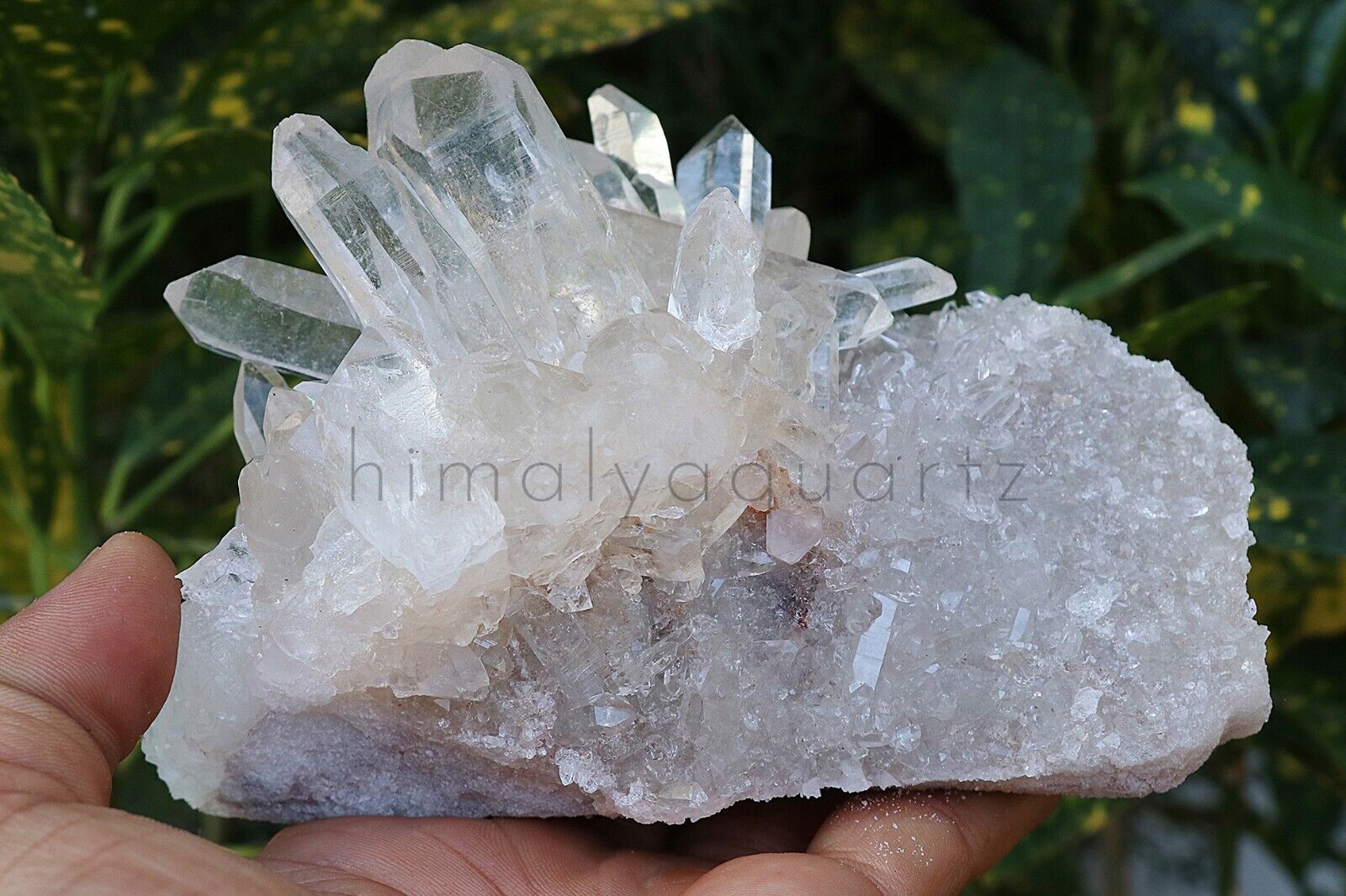 945 gm Rare Natural Himalayan White Samadhi Quartz Crystal Cluster Raw Specimen