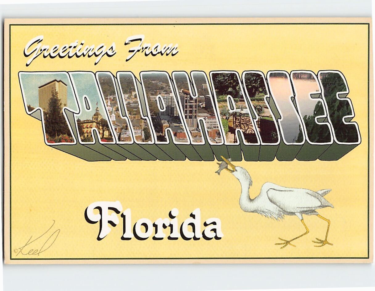 Postcard Greetings from Tallahassee Florida USA