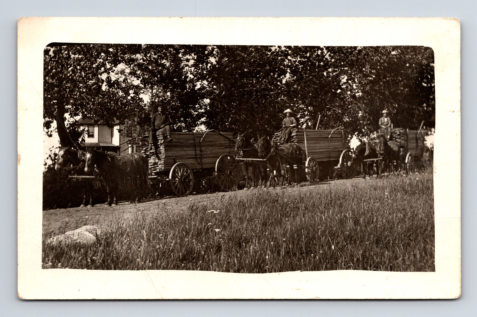 RPPC Two Horse Drawn Carts of Lumber & Men Postcard