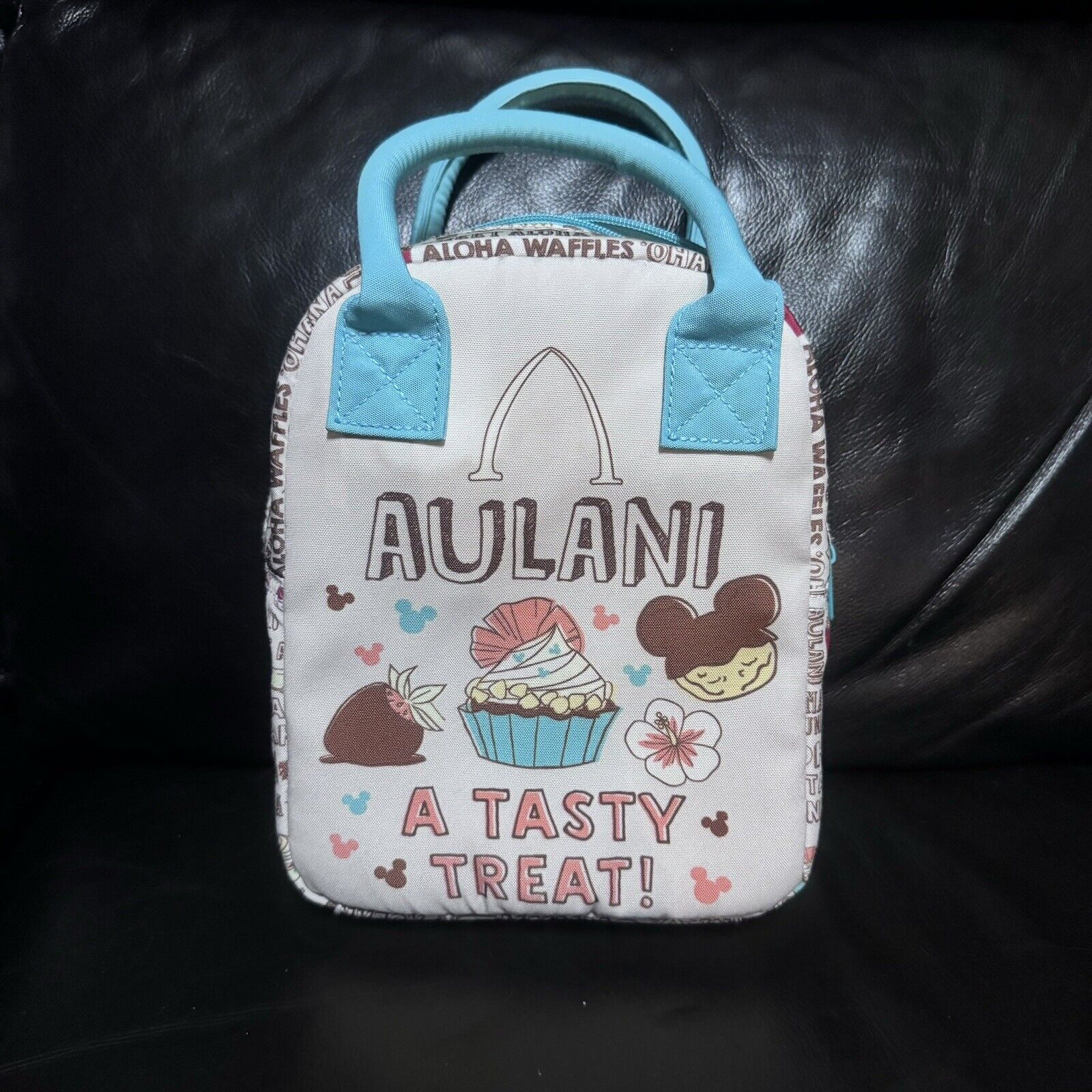 Disney Aulani Resort Official exclusive Hawaii Lunchbag Tote Zippered insulated
