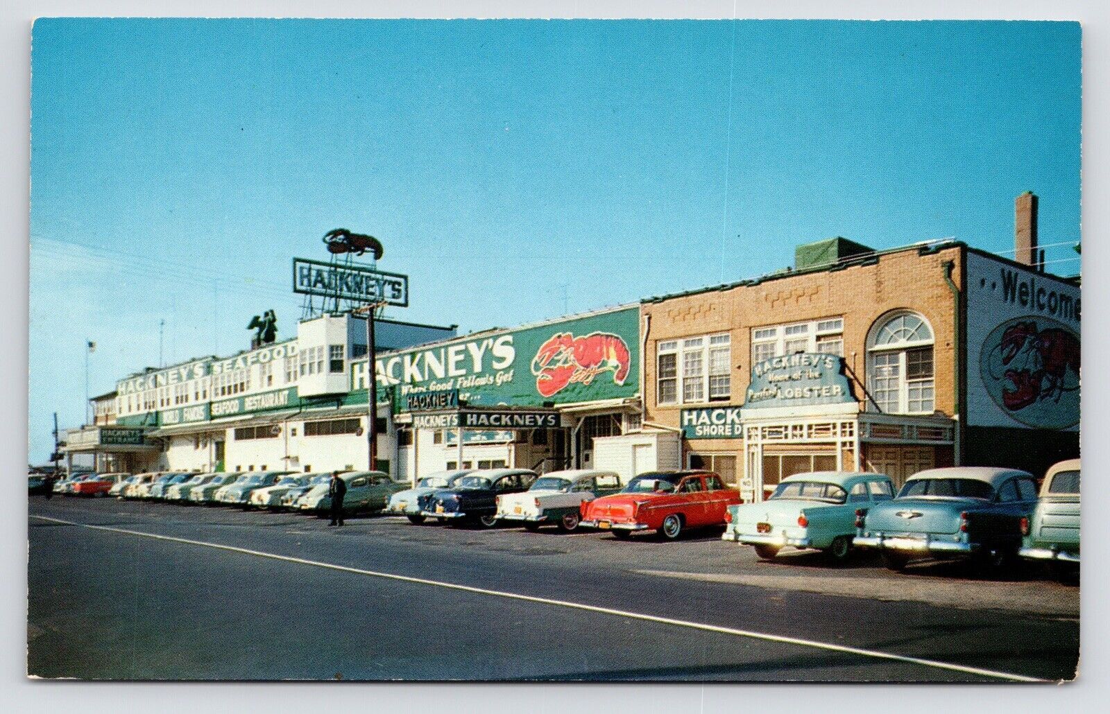 c1950s Hackney’s Seafood Restaurant~ Atlantic City~NJ VTG Postcard
