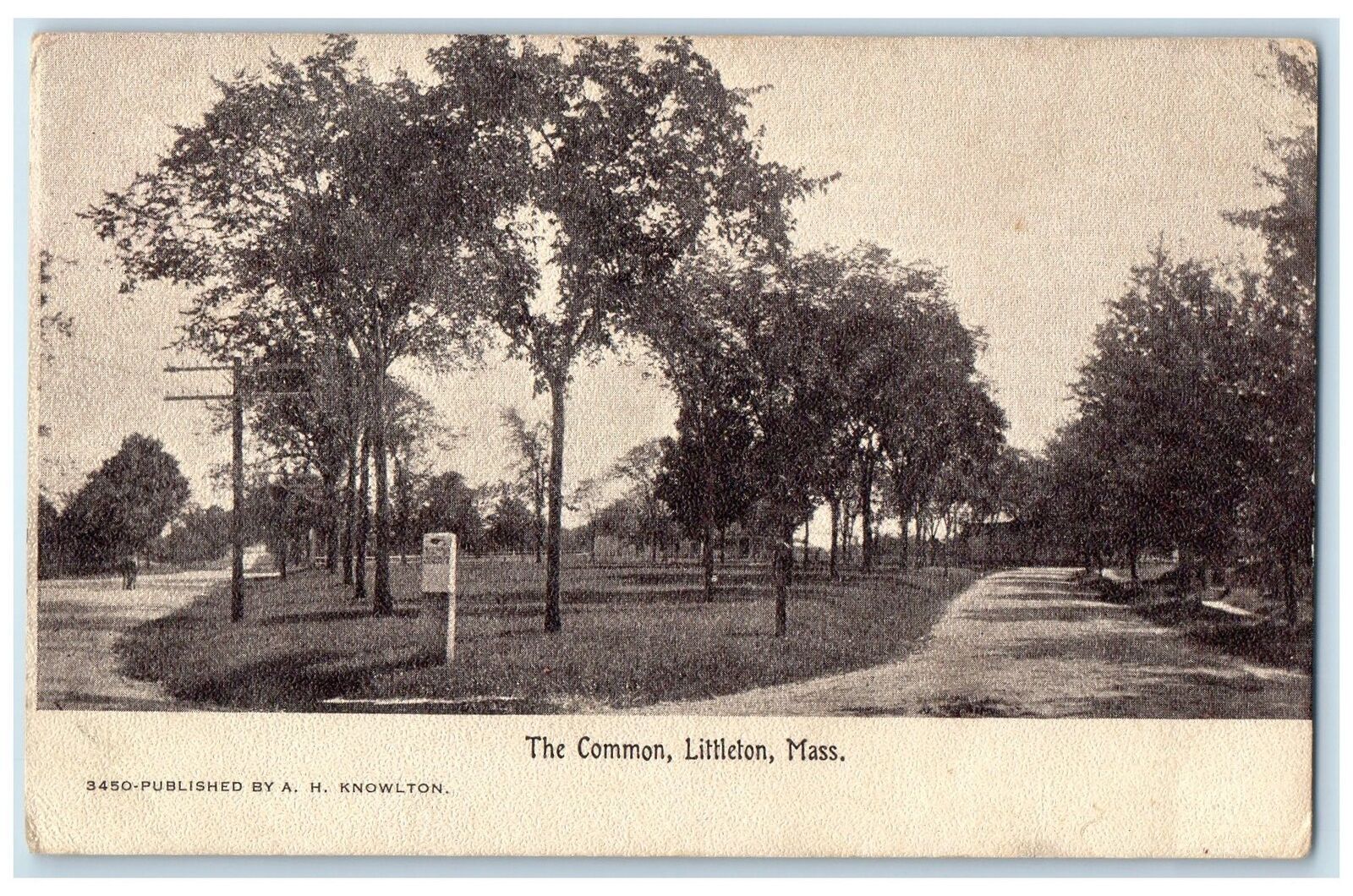 1907 The Common Trees Scene Littleton Massachusetts MA Posted Vintage Postcard