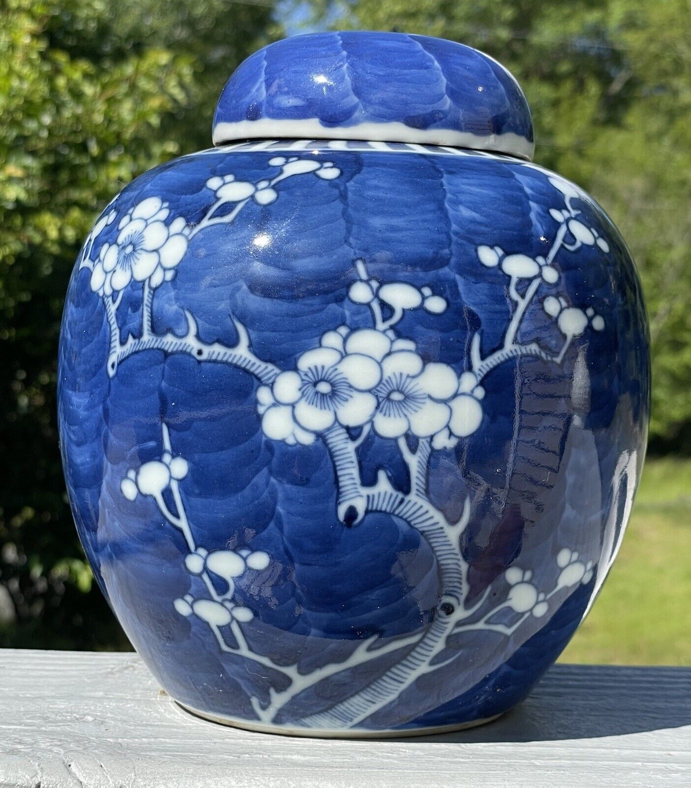 Antique Chinese 19th - 20th C. Porcelain Blue Prunus Hawthorn Ginger Jar