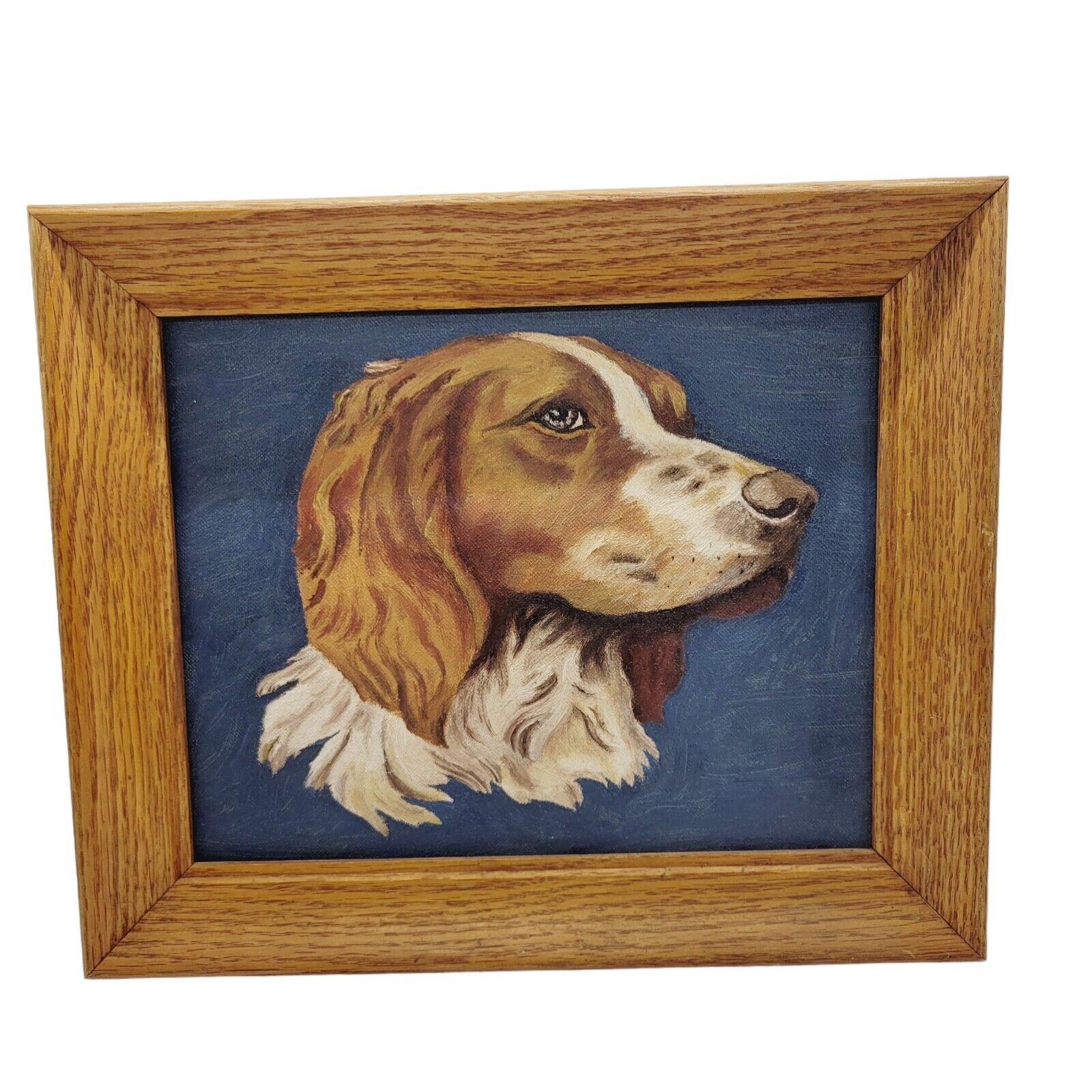 Original Oil Painting Springer Spaniel Dog Head On Canvas Board Real Wood Frame
