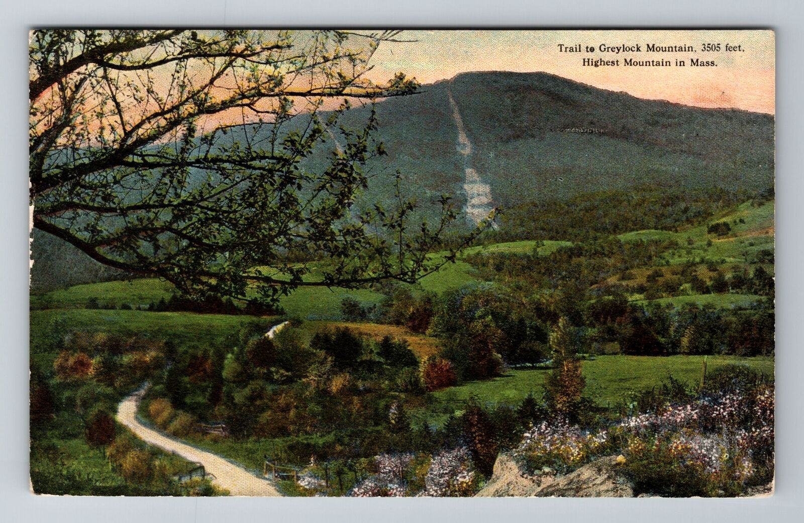 Greylock Mountain, MA-Massachusetts, Trail To Peak c1916, Vintage Postcard