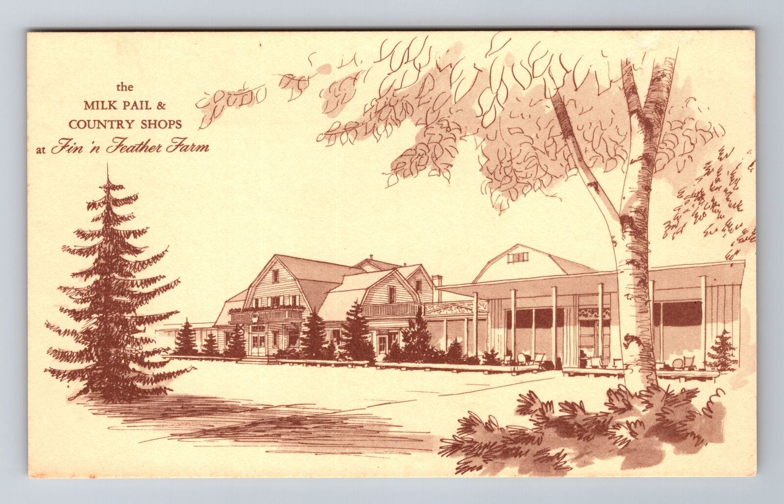 Dundee IL-Illinois, Fin'n Feather Farm, Advertising, Vintage Souvenir Postcard