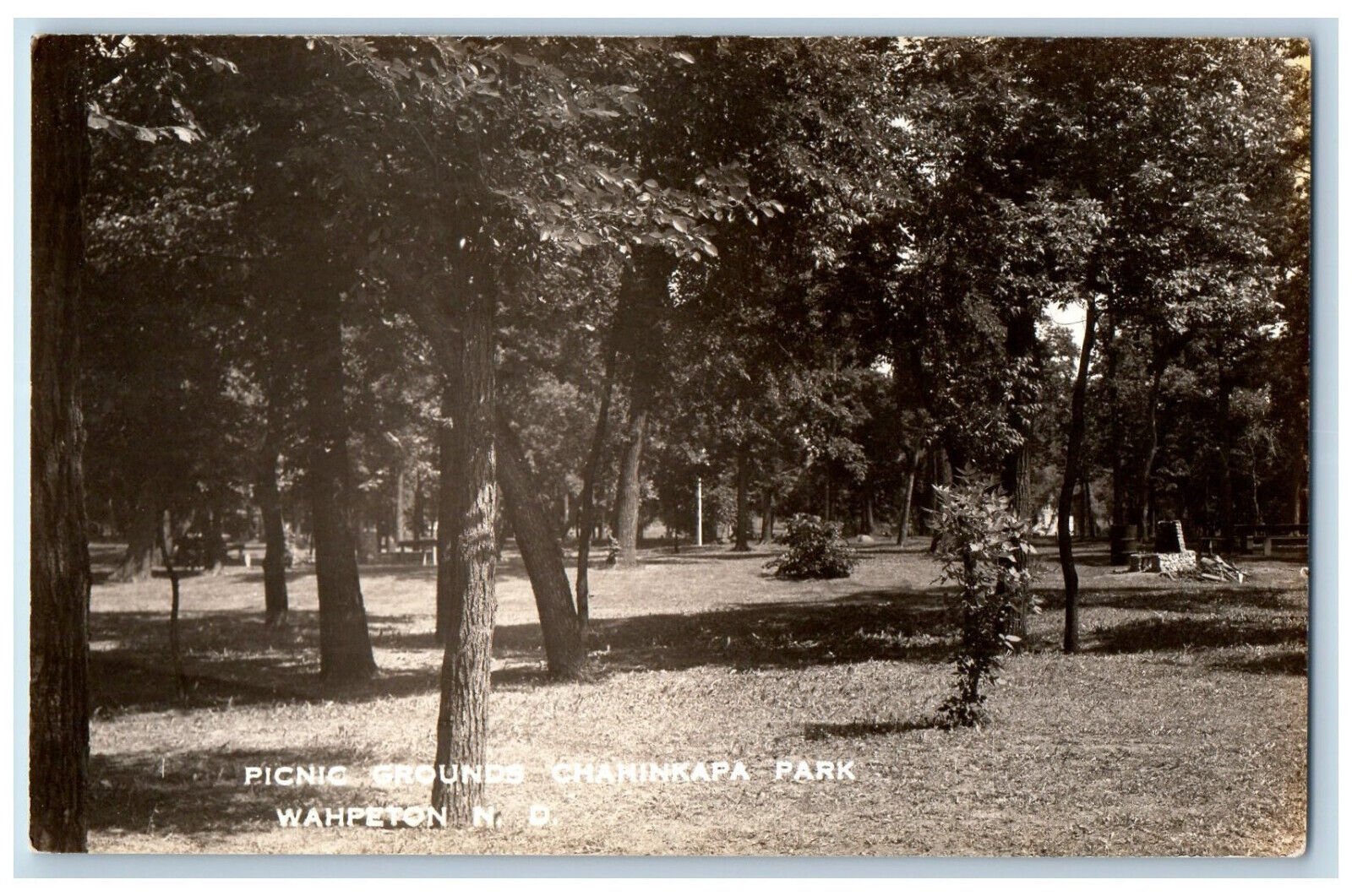 Wahpeton North Dakota ND Postcard Picnic Chahinkapa Park c1930's RPPC Photo