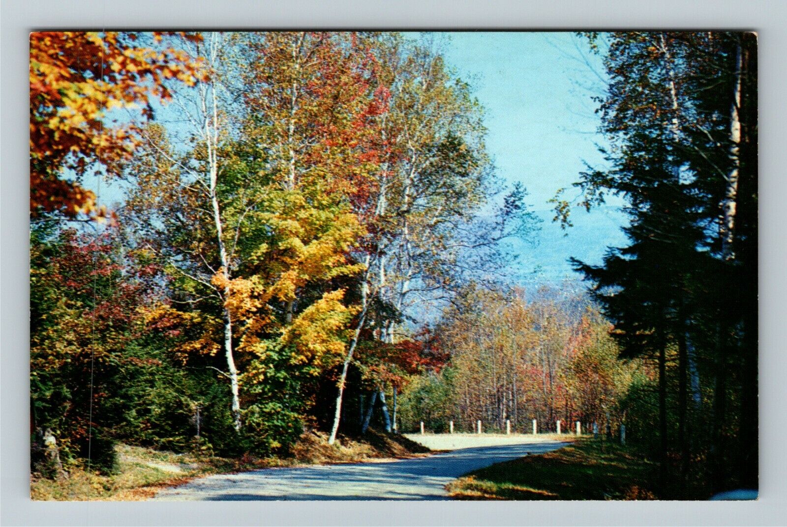 Berkshires MA-Massachusetts, Notch Road to Mt. Greylock, Vintage Postcard