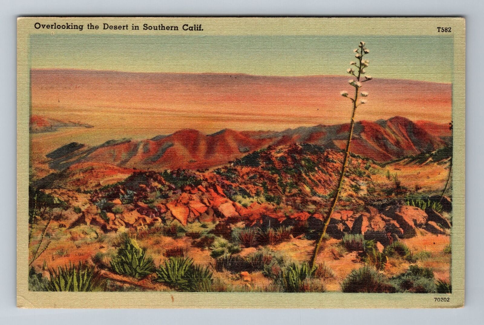 Southern CA-California, Overlooking the Desert, c1943, Vintage Postcard
