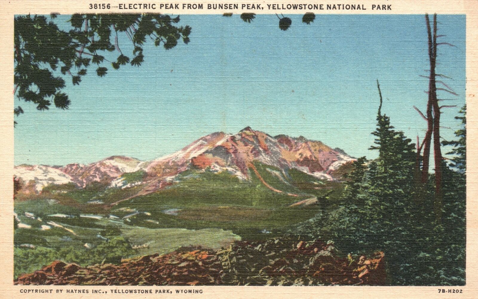 Vintage Postcard 1948 Electric Peak From Bunsen Peak Yellowstone Nat\'l Park W.Y.