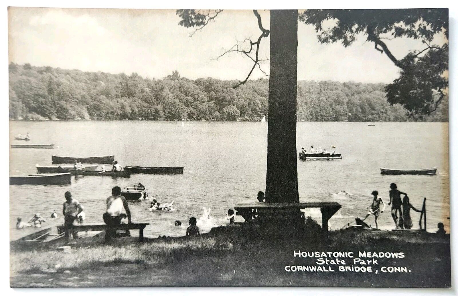 Housatonic Meadows State Park Cornwall CT Connecticut Early Postcard View