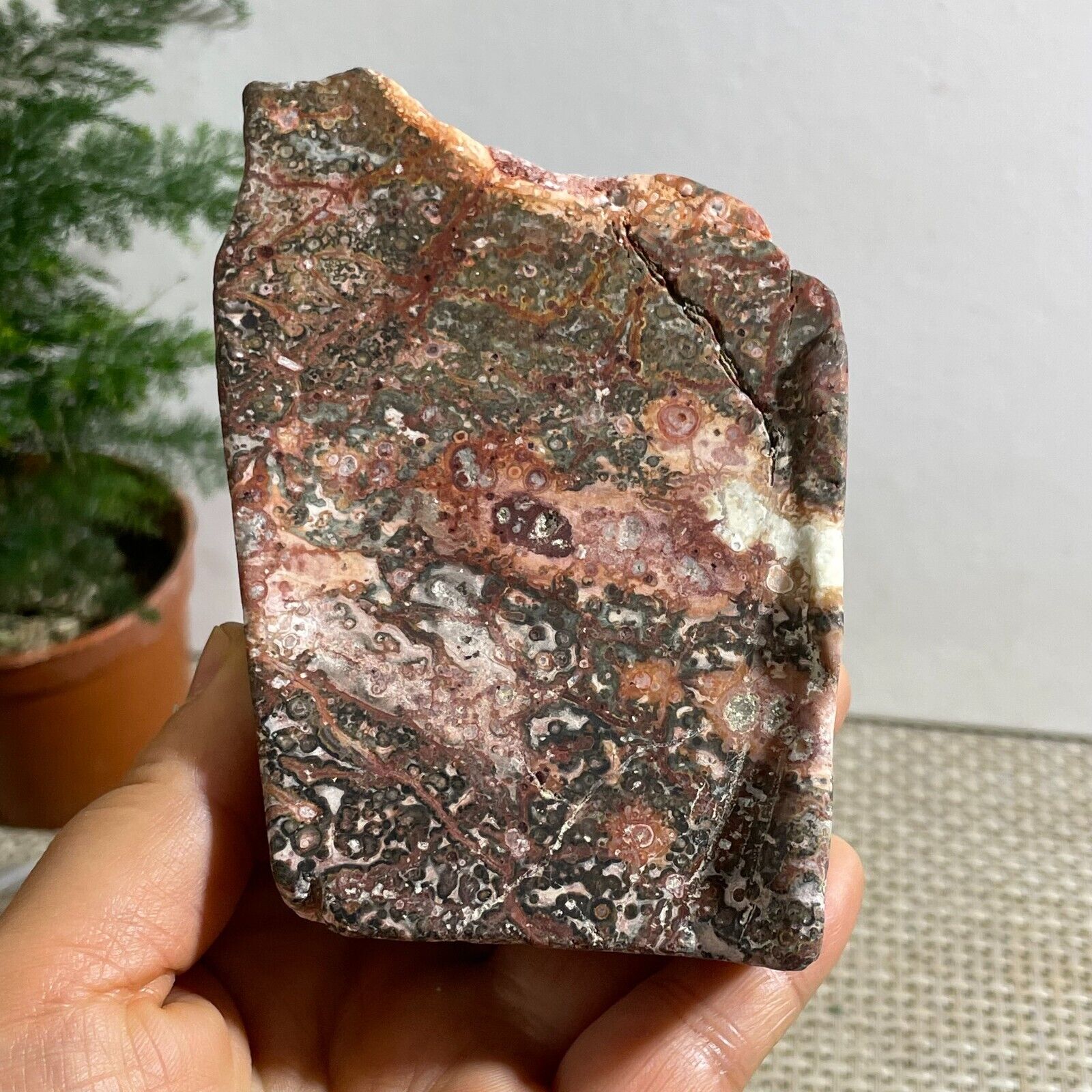 TOP Rare Natural Leopard stone polished Crystal Quartz Tumbled gift 381g h13
