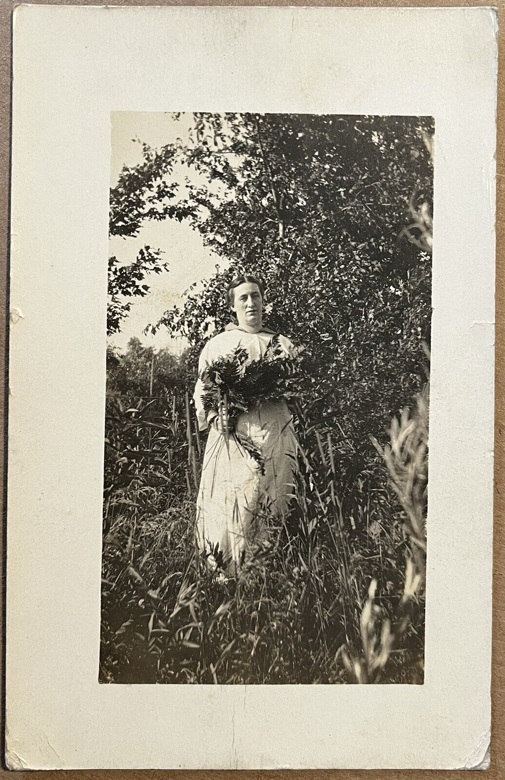 RPPC Chicago Lady Alice Daniel Illinois Antique Real Photo Postcard 1915