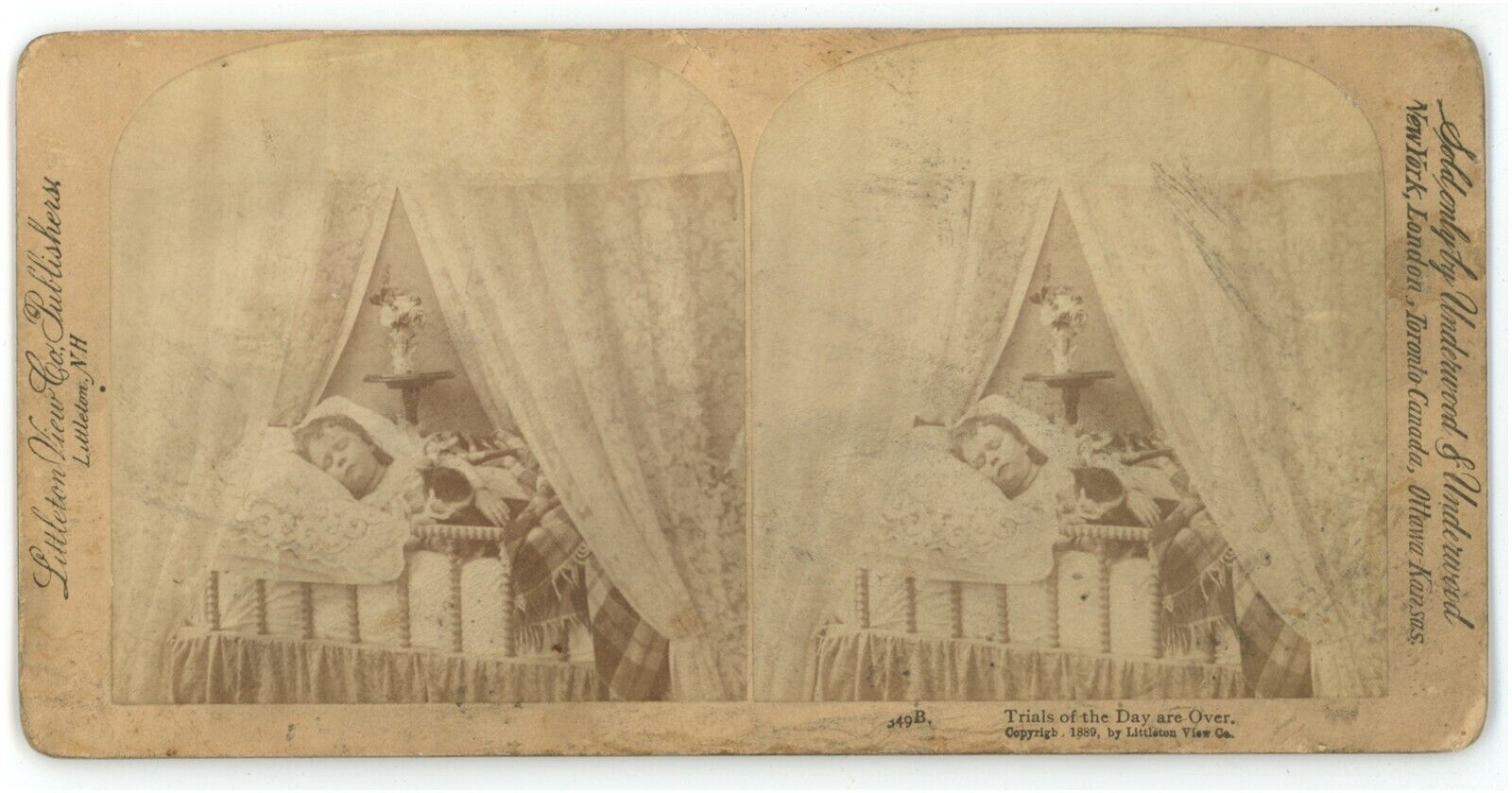 c1890's Stereoview Card Adorable Little Girl Sleeping With Cat By  Side In Bed
