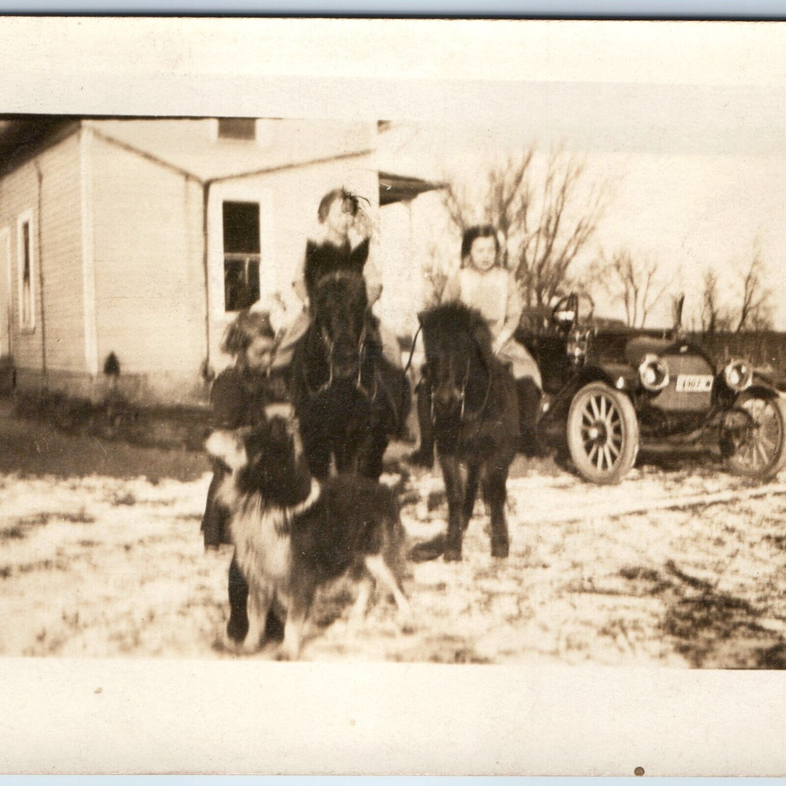 c1910s Cute Group Girls Pony Outside RPPC Lassie Dog Touring Car Snow Photo A261