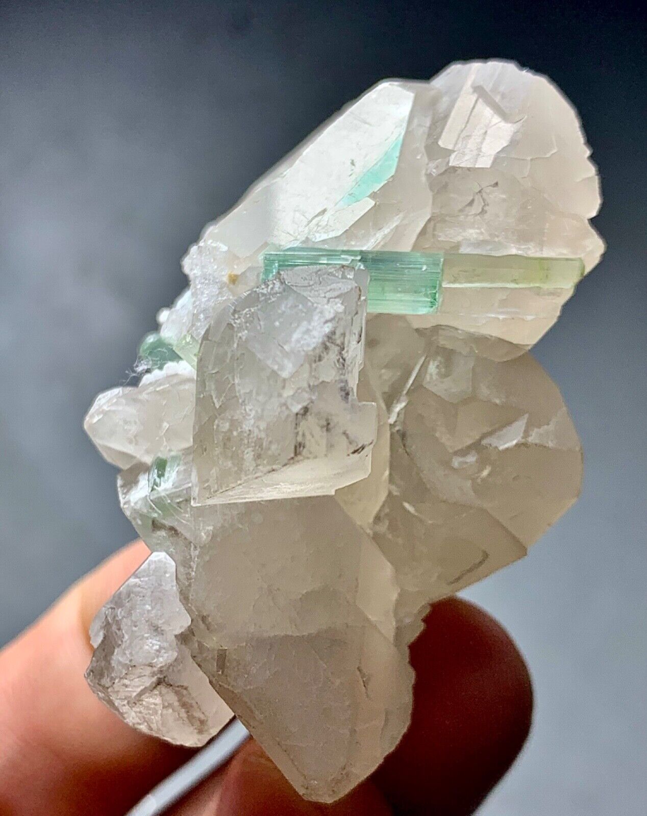 260 Carat Tourmaline Crystal On Quartz Specimen From Afghanistan