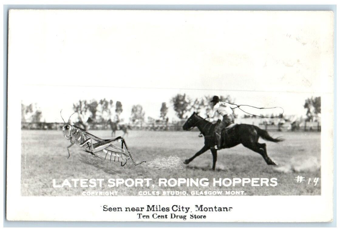 c1940\'s Coles Exaggerated Roping Grasshopper Horse Cowboy MT RPPC Photo Postcard