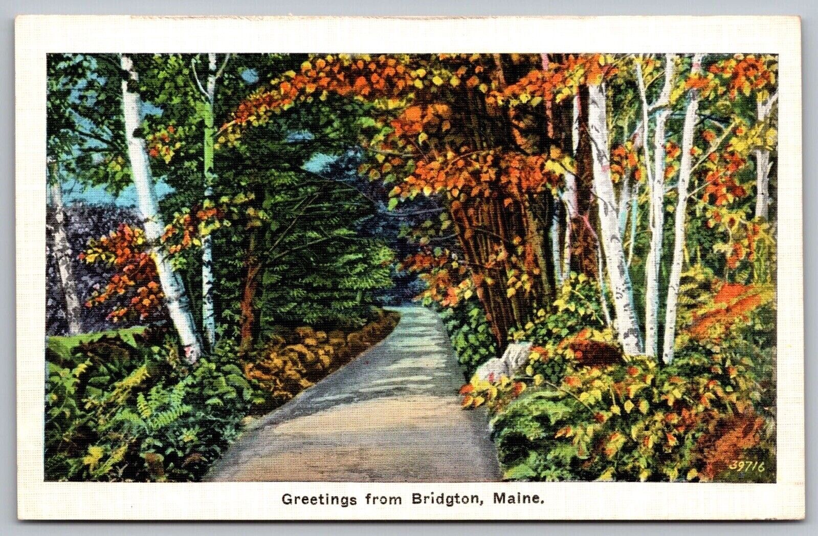 Greetings Bridgton Maine Country Road Forest Flowers ME Vintage UNP Postcard