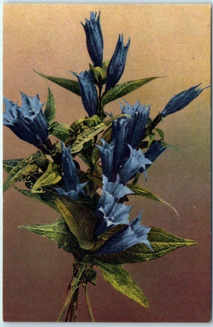 Postcard - Blue Flower