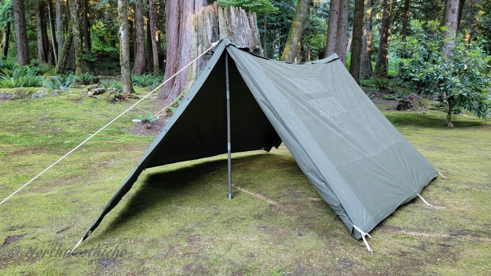 US Military Vintage USGI Shelter Half Canvas Field Tent 2 Halves W/ 10 Stakes.