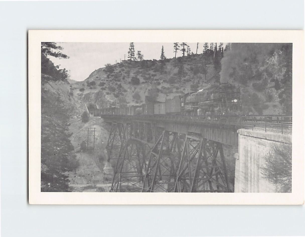 Postcard Locomotive Train Bridge Tunnel Trees Landscape Scenery Picture