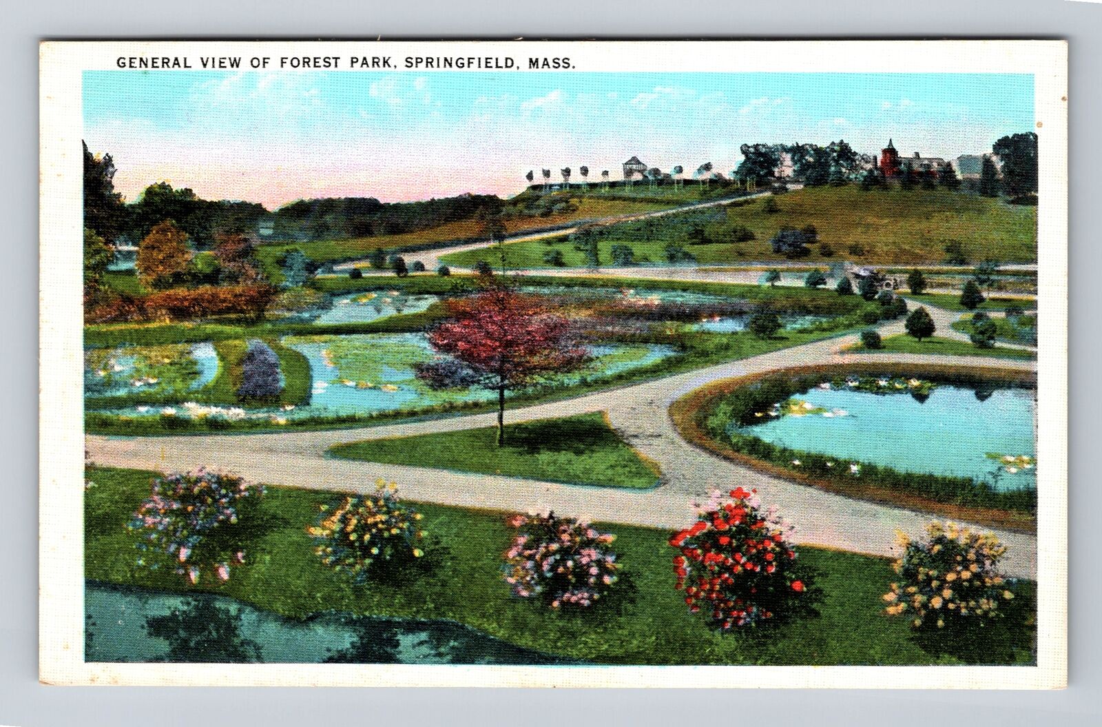 Springfield MA-Massachusetts, Scenic View Forest Park, Vintage Postcard