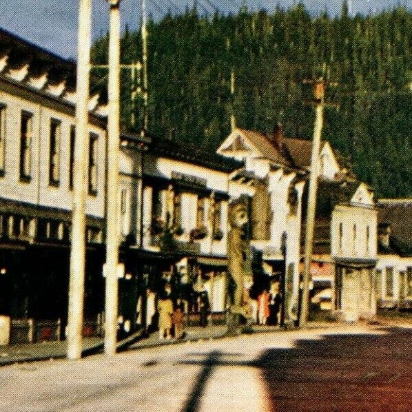 Wrangell Alaska Pioneer Town Tlinget Vintage Original Postcard 3495