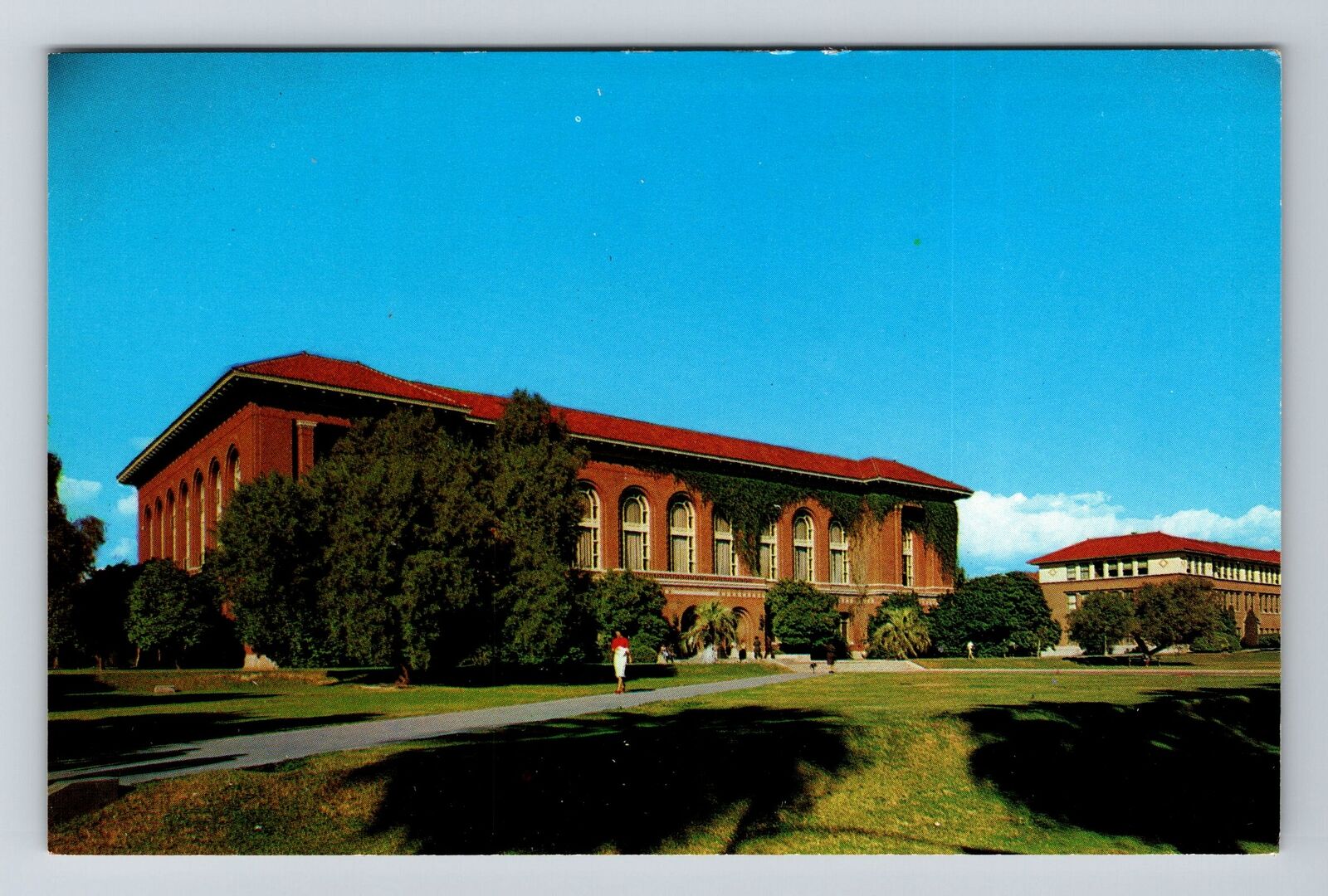 AZ-Arizona, The University Arizona, Library, Vintage Postcard