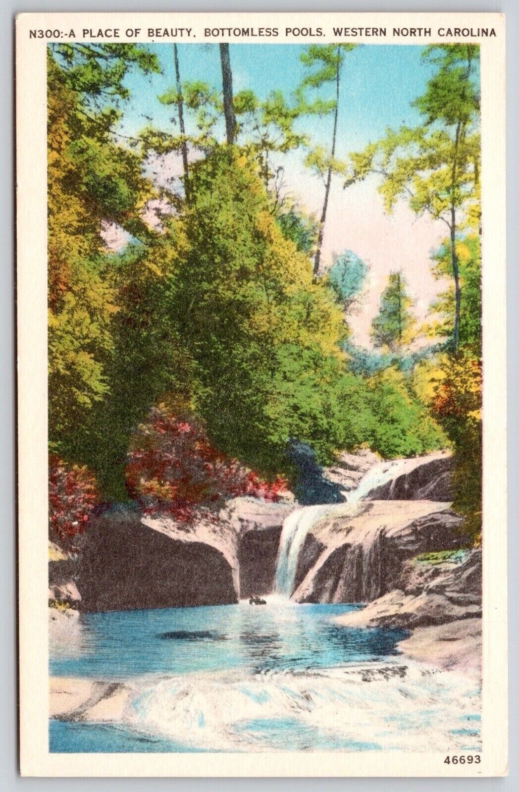 Bottomless Pools Western North Carolina Waterfall Forest Vintage UNP Postcard